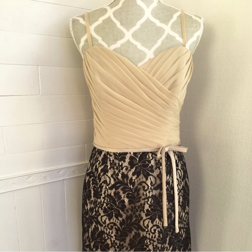 NWT Sz 12 Impression Black Lace/Nude Dress (2245)